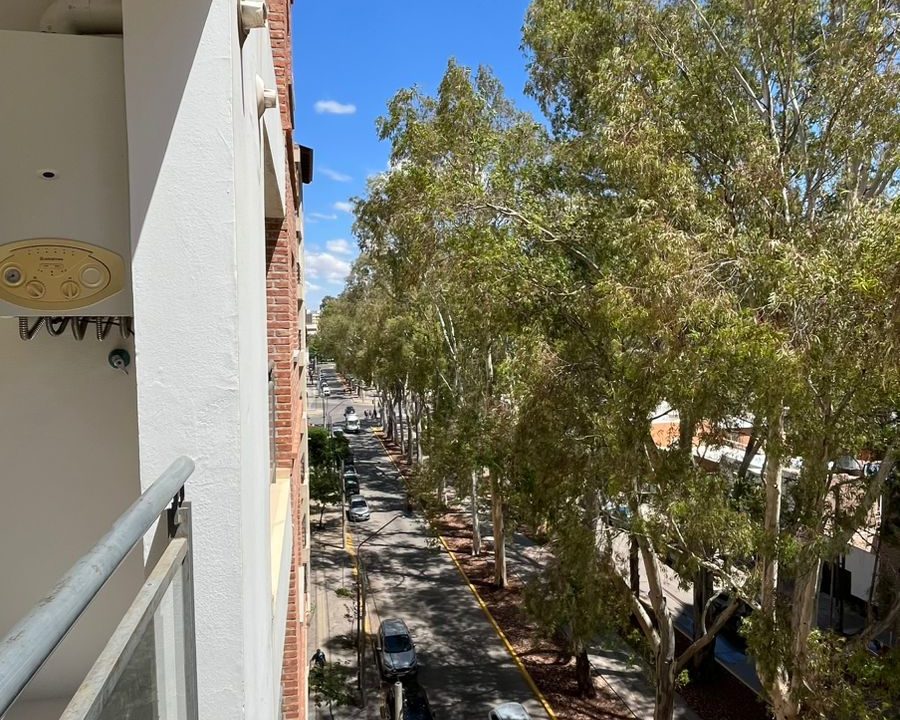 WhatsApp Image 2025-11-05 at 14.10.16